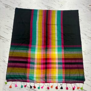 Rainbow saree