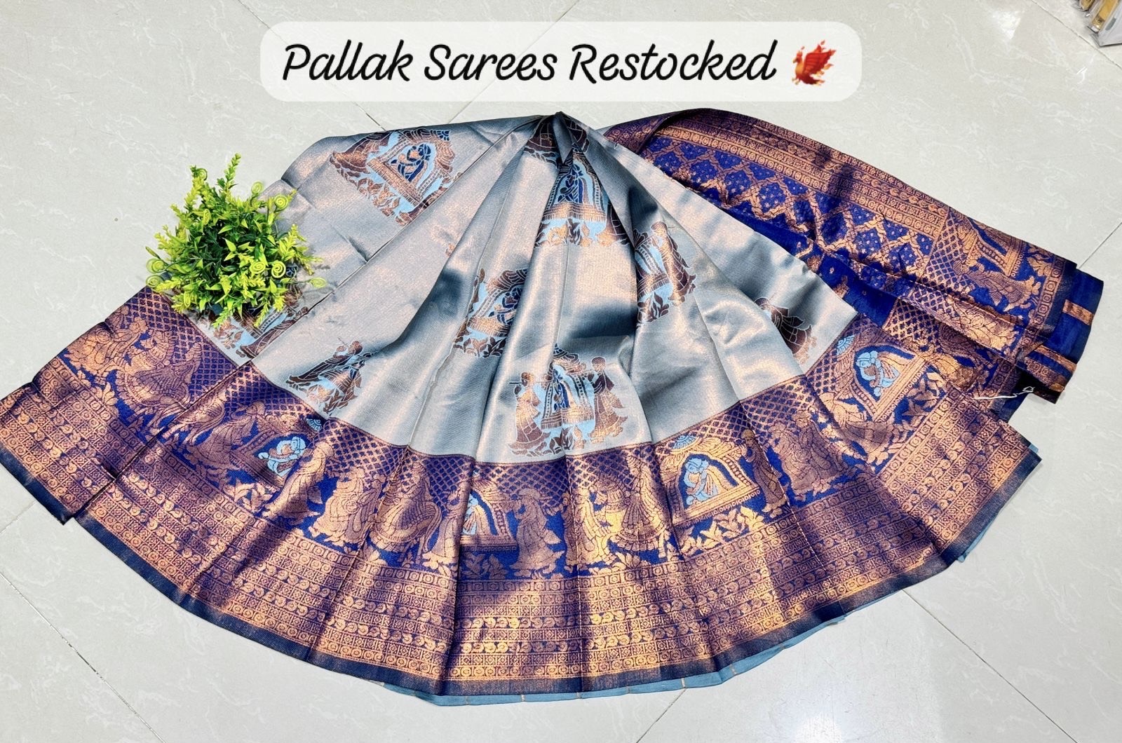 Pallakku Saree