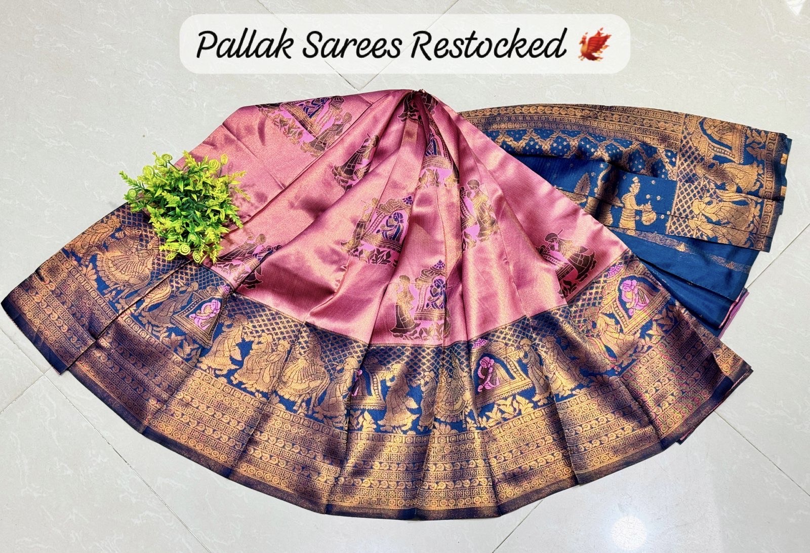 Pallakku Saree