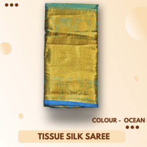 Tissue silk saree 04